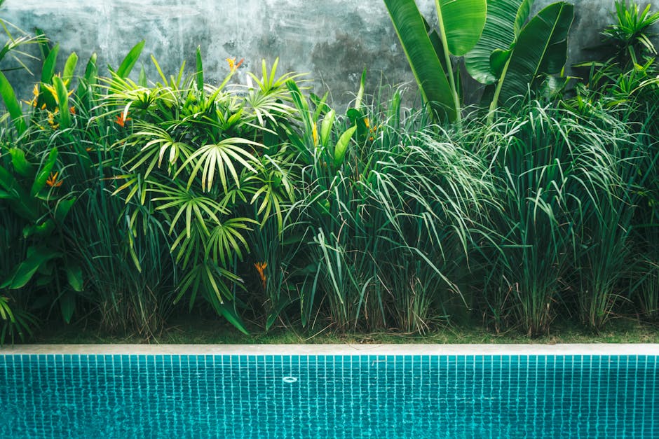 Poolside Perfection: Must-Have Plants for a Lush Oasis