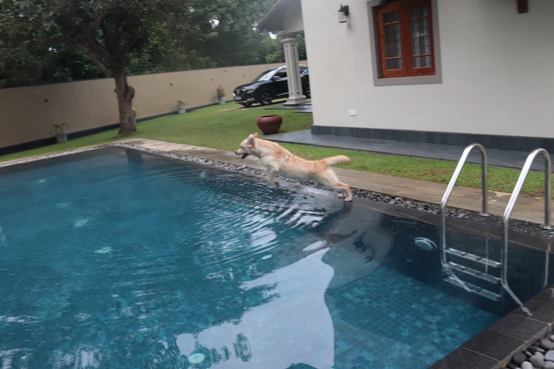 Your Ultimate Guide to Southern NH Pool Installers